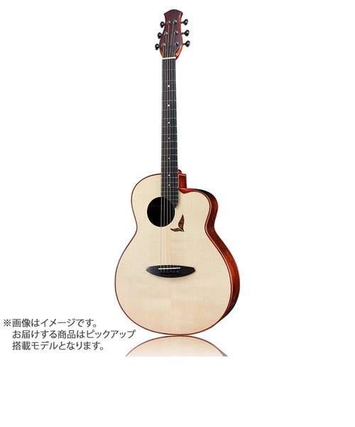 LS800E エレアコギター Future Series｜シマムラガッキの通販