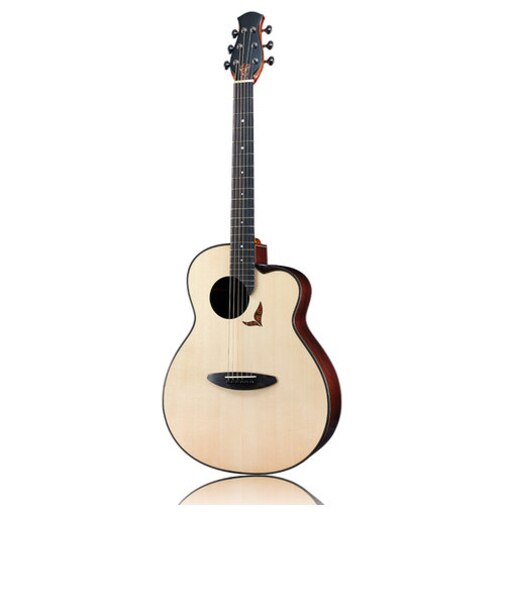 LS700 アコースティックギター Future Series