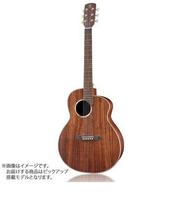 L30E エレアコギター Original Series