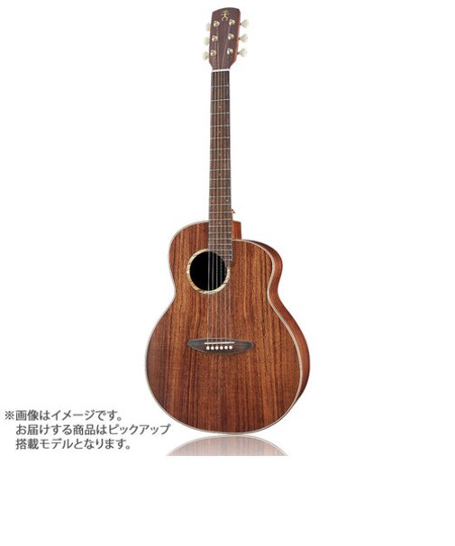 L30E エレアコギター Original Series