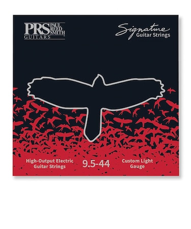 Signature Custom Light Guitar Strings 9.5-44 エレキギター弦 Signature Series