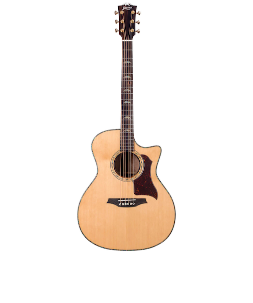 BAN2CE エレアコギター トップ単板