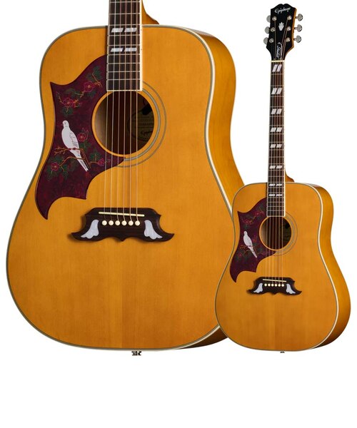 寺田楽器Jaguard 「GB 350DS 」DOVEモデル 激鳴 エレアコ Dove Studio Left-Handed Natural アコースティックギター エレアコ