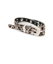 アソートギャルベルト