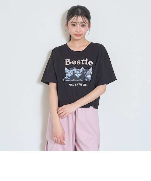 【綿100%】キャットモチーフフォト半T