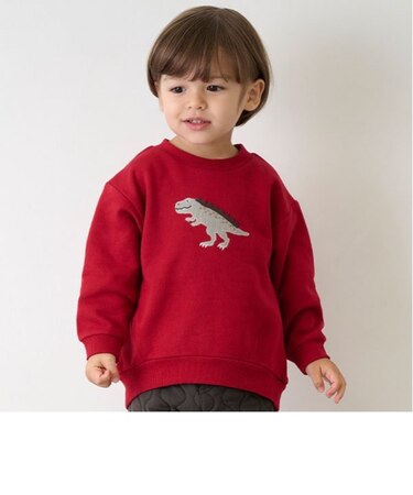 【リンク】動物・恐竜トレーナー(キッズ)