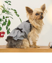 【リンク】【DOG】チェックドッキングワンピ