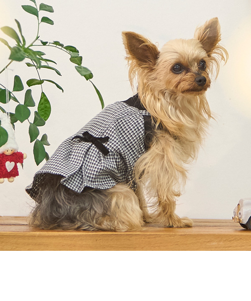 【リンク】【DOG】チェックドッキングワンピ
