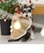 【DOG】クリスマスポンチョ