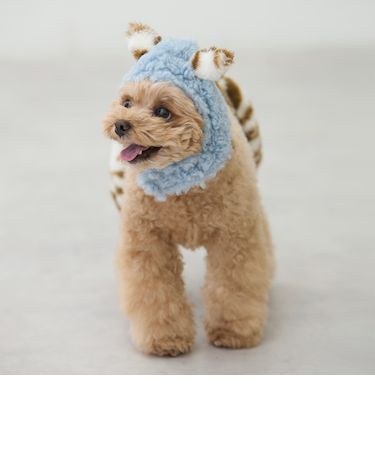 【DOG】（節分）鬼なりきりパンツ