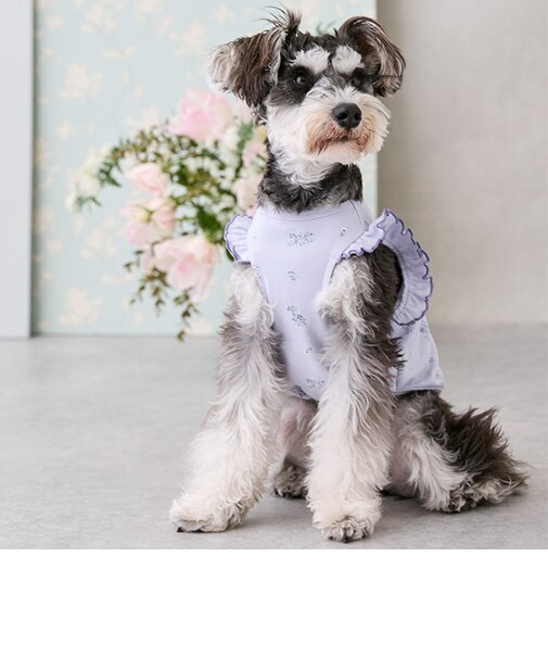 【リンク】【DOG】総柄肩フリルタンク