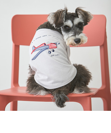 【リンク】【DOG】乗り物アップリケTシャツ