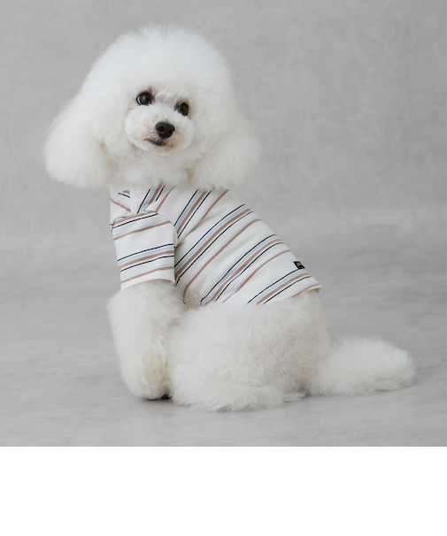 【リンク】【DOG】(防汚加工)マルチボーダーT