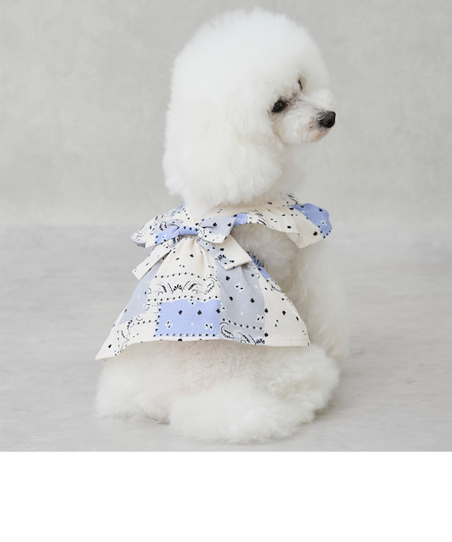 【リンク】【DOG】 肩フリルワンピ