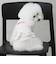 【リンク】【DOG】【水陸】フリルタンク