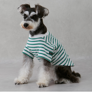 【リンク】【DOG】【接触冷感】ボーダーTシャツ