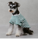 【リンク】【DOG】【接触冷感】ボーダーTシャツ