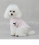 【リンク】【DOG】【接触冷感】ボーダーTシャツ