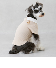 【DOG】【接触冷感】ポロ衿配色Tシャツ