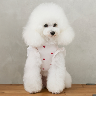 【DOG】【SWIM】肩フリル柄タンク