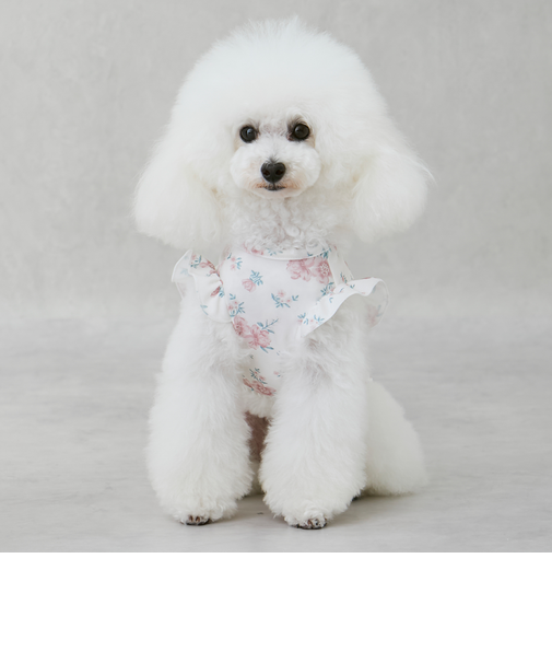 【DOG】【SWIM】肩フリル柄タンク