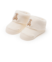 【POLO BCS】くま刺繍カップソックス