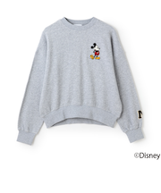 【Disney】【リンク】ワッペントレーナー