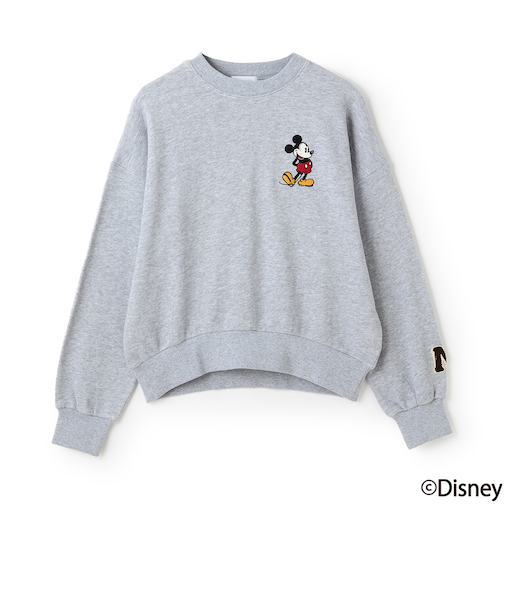 【Disney】【リンク】ワッペントレーナー
