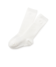 ワンポイント刺しゅうハイソックス