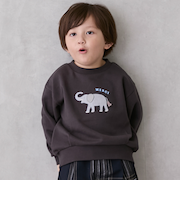 モチーフトレーナー