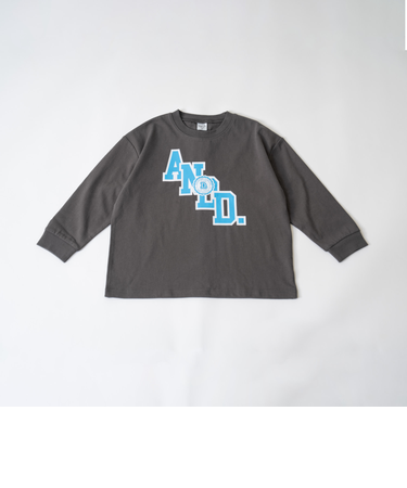【USAコットン】ANDロゴカレッジワイドロンT