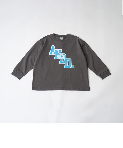 【USAコットン】ANDロゴカレッジワイドロンT