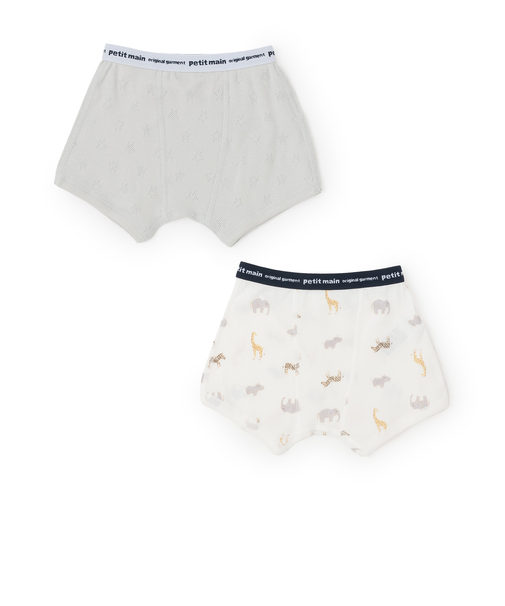 【弱酸性】ボクサーパンツ2P