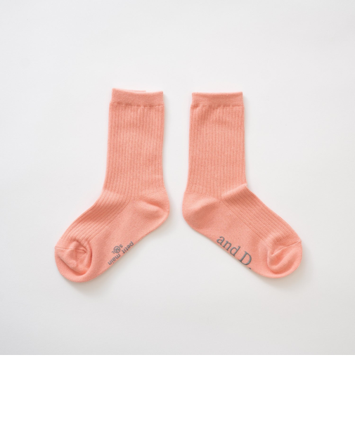 【365D】ディリーカラーソックス