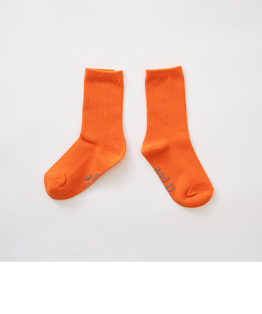 【365D】ディリーカラーソックス