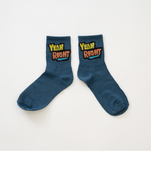 【Dセレクト】パロディアイコンソックス