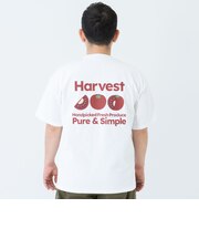 【親子リンク】【DAD】DINER 半袖T