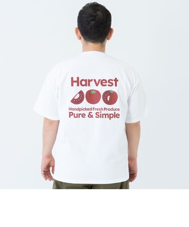 【親子リンク】【DAD】DINER 半袖T