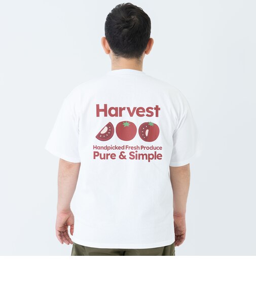 【親子リンク】【DAD】DINER 半袖T