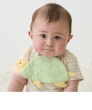 海の生き物スタイ