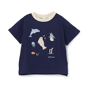 【接触冷感】海のいきものアップリケ半袖Tシャツ