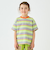ボーダーＴシャツ