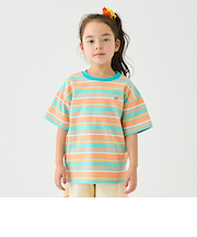 ボーダーＴシャツ