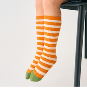 サイズレスボーダーソックス