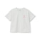 【綿100】プチプラグラフィックアソート半袖Tシャツ
