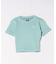 DC(ディーシー)半袖 Tシャツ リブ素材 クロップド丈 ショート丈 ロゴ セットアップ対応 LST252311M/レディース ムラサキスポーツ
