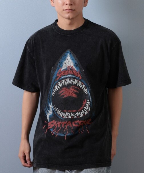 【ムラサキスポーツ限定】SANTACRUZ(サンタクルーズ)半袖Tシャツ フロントプリント バックプリント 502253411/メンズ ムラサキスポーツ