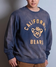 【限定】DEARLAUREL/トレーナー クルーネック スウェット 裏毛 カレッジロゴ風 ヴィンテージ加工 Vintage Crew D25F-11 ディアローレル メンズ ムラサキスポーツ限定