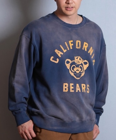 【限定】DEARLAUREL/トレーナー クルーネック スウェット 裏毛 カレッジロゴ風 ヴィンテージ加工 Vintage Crew D25F-11 ディアローレル メンズ ムラサキスポーツ限定