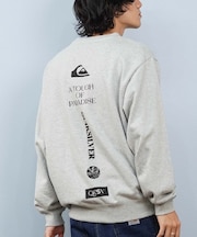 QUIKSILVER/長袖 トレーナー スウェット バックプリント QPO254005 クイックシルバー メンズ ムラサキスポーツ